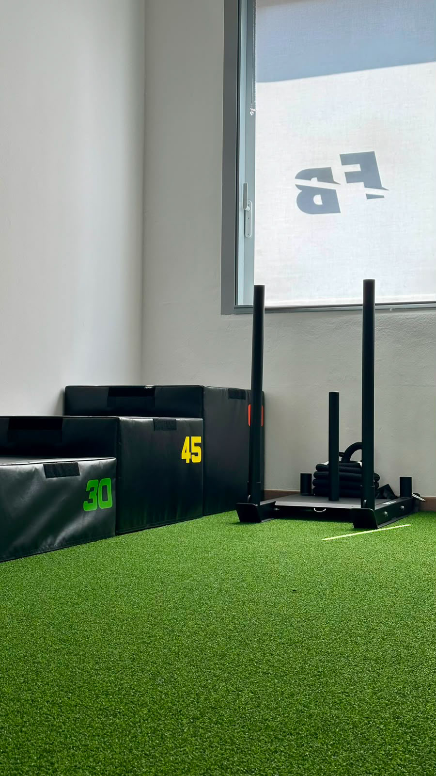 Area funzionale con slitta e plyo box su prato sintetico